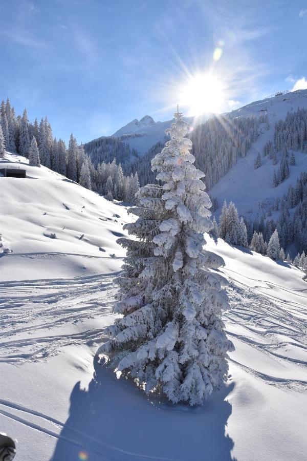 Relaxalp Garfrescha